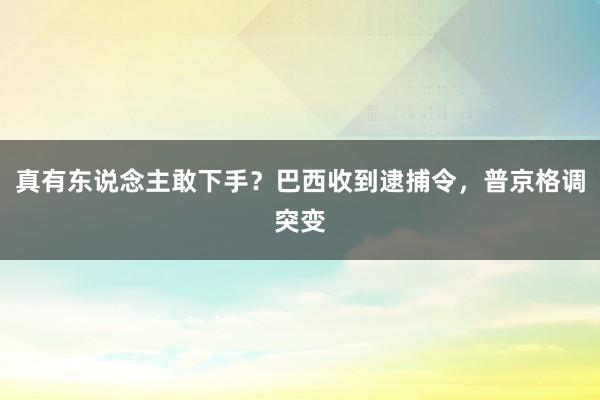 真有东说念主敢下手？巴西收到逮捕令，普京格调突变