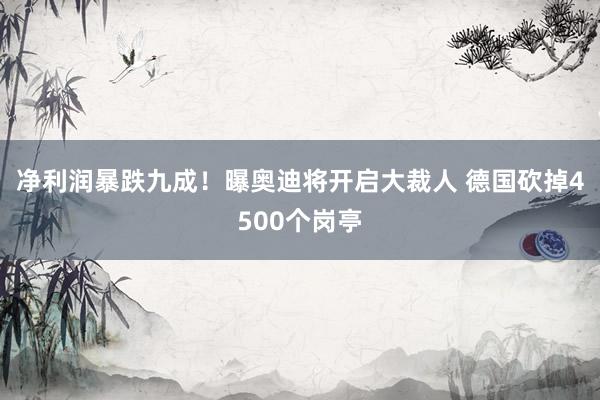 净利润暴跌九成！曝奥迪将开启大裁人 德国砍掉4500个岗亭